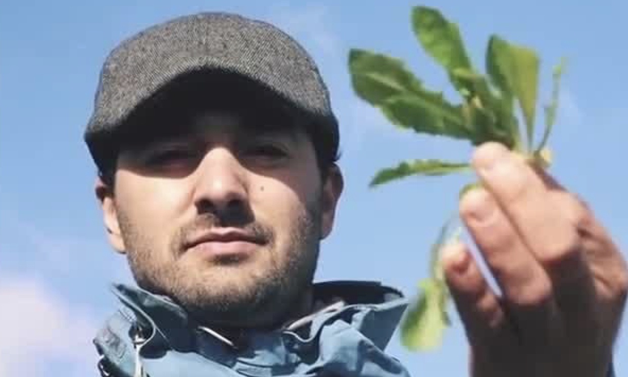 Ο Έλληνας που άφησε το Λονδίνο για να μαζεύει άγρια χόρτα στο χωριό του (video)