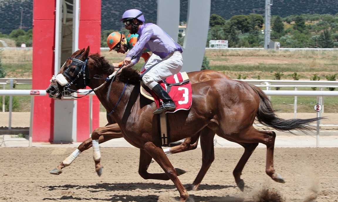 Markopoulo Park: Μοναδικό θέαμα με εντυπωσιακά photo finish