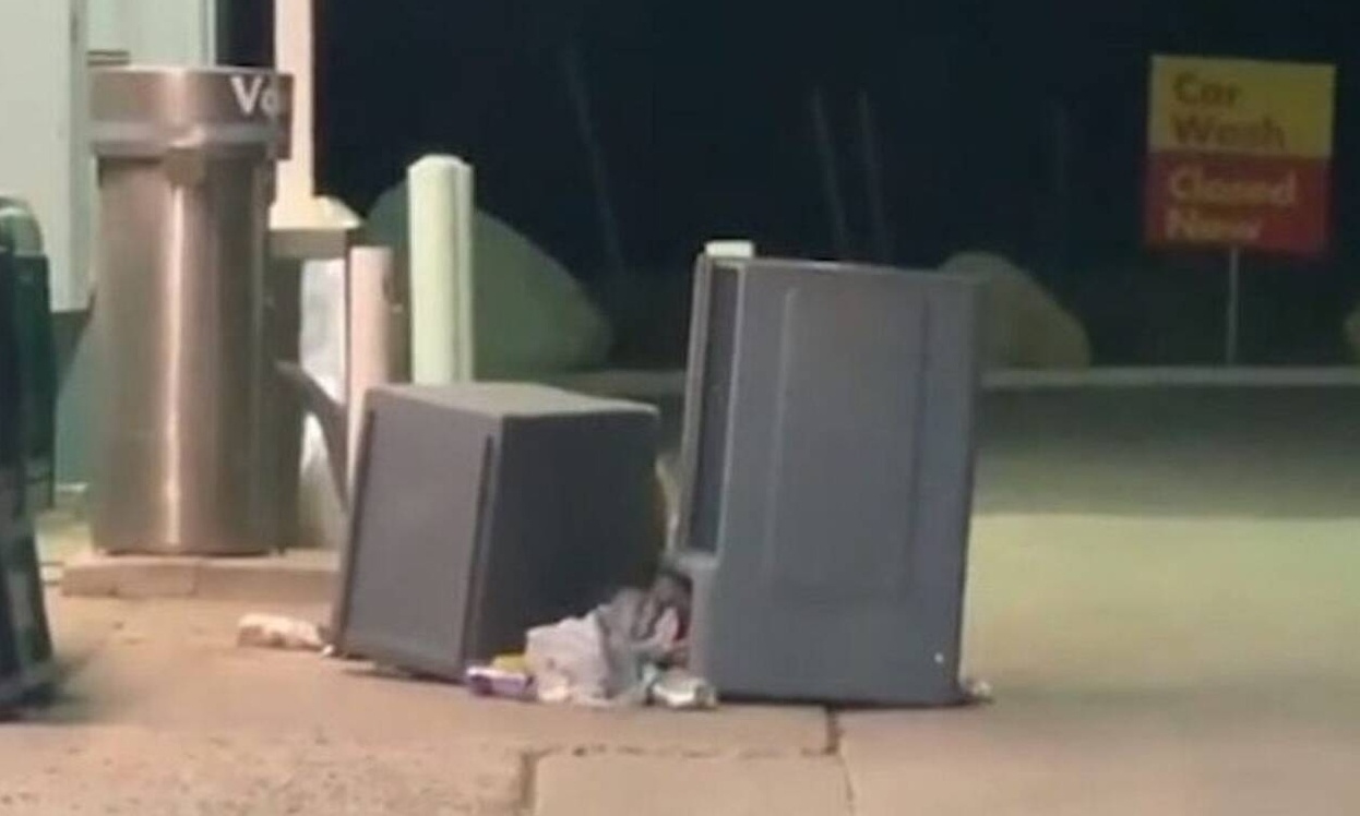 Δεν μπορούσε να φανταστεί τι κρυβόταν πίσω από τα σκουπίδια (video)