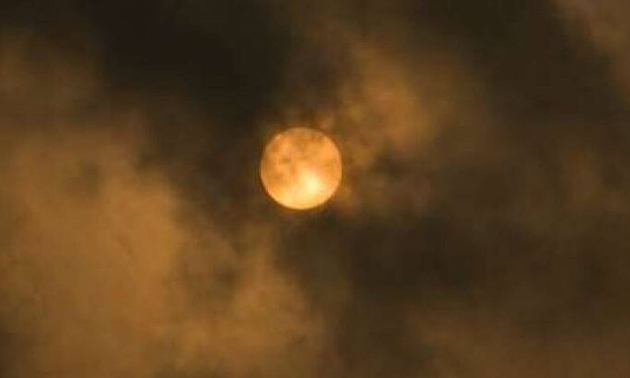 Ακουσε θόρυβο και μπήκε στην κουζίνα. Οταν είδε τι είχε συμβεί έβαλε τις φωνές (video)