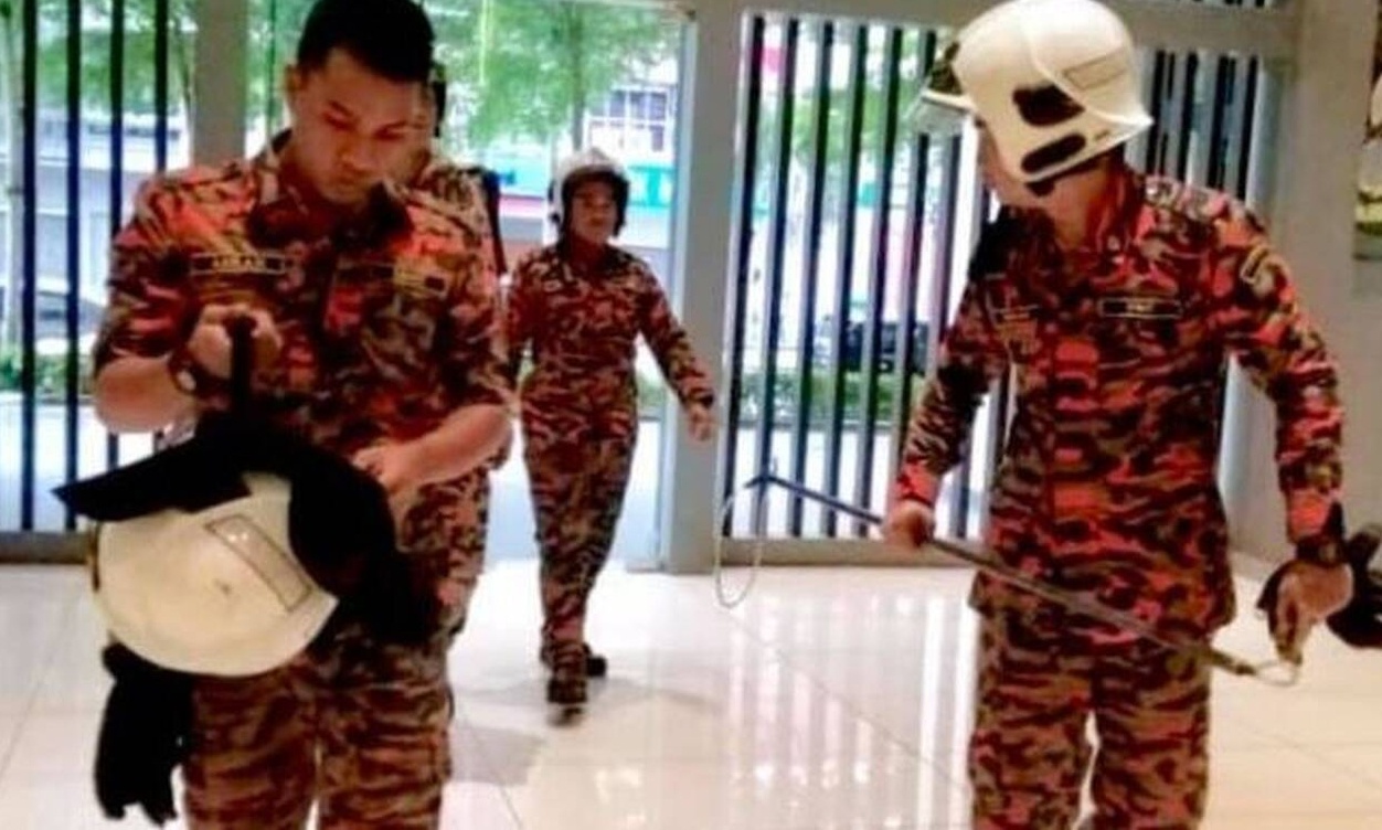 Τραγουδίστρια νόμιζε πως πήρε σκύλο αλλά τελικά δείτε τι ήταν! (photos)