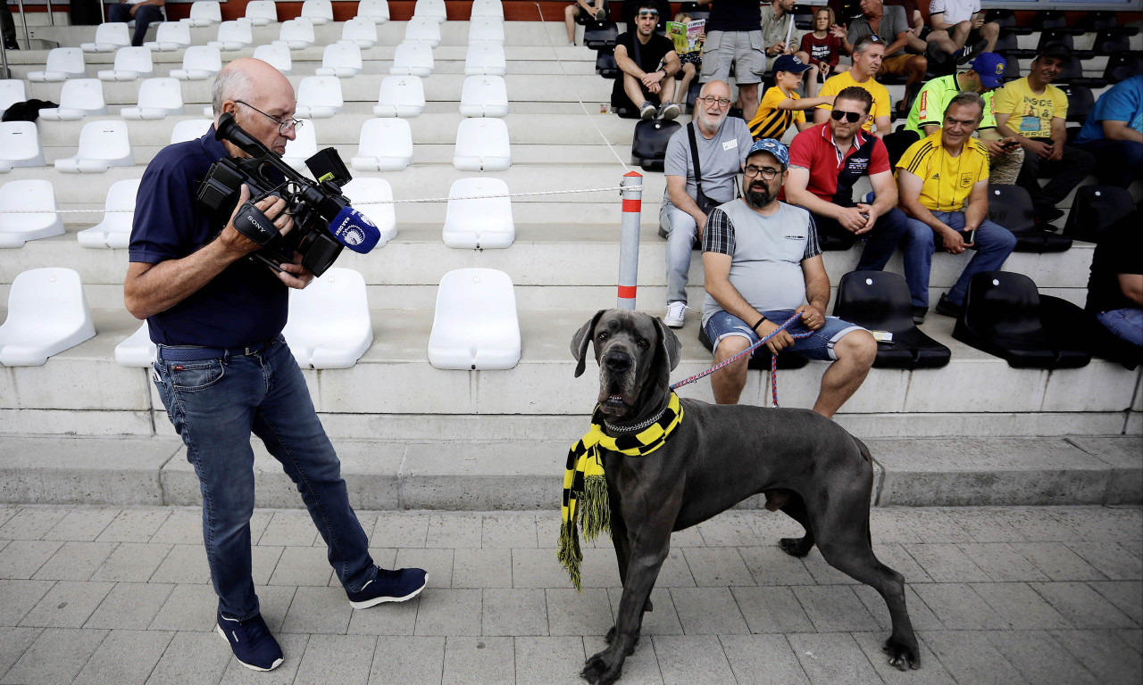 Άρης-Γάνδη: Ο μολοσσός που… τρέλανε τους Βέλγους (photos+video)