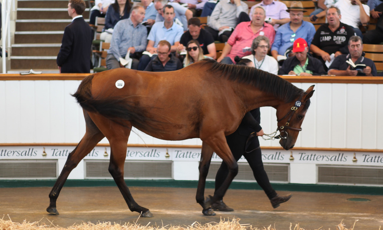 Racing Post: Οι ελληνικές ιπποδρομίες επιστρέφουν από την άβυσσο