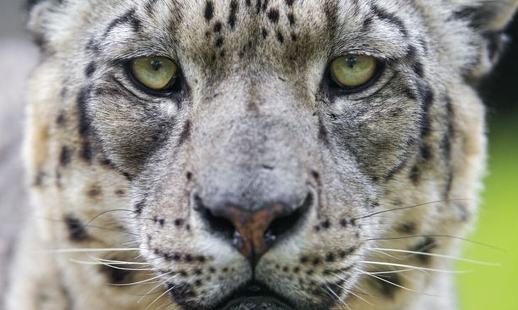 Όταν η φύση σε αφήνει με ανοιχτό το στόμα