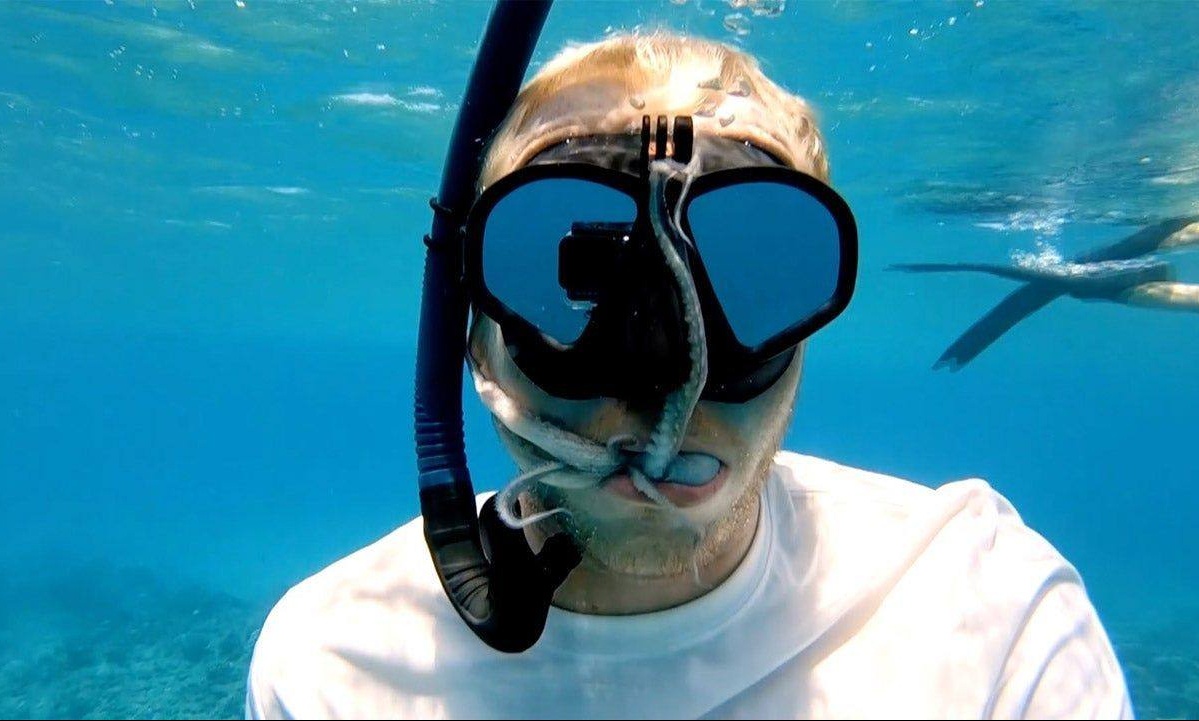 Βάζει μέσα στο στόμα του ζωντανό χταπόδι! Από τύχη παραμένει ζωντανός (video)