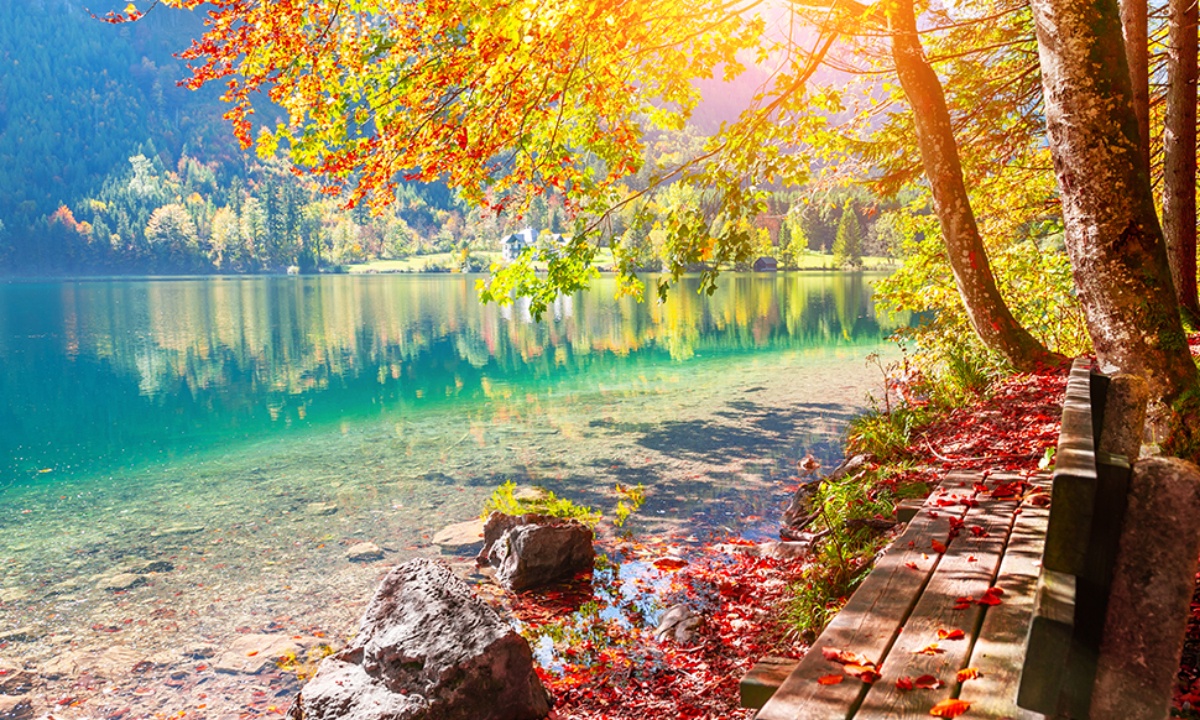 Ημερήσιες Προβλέψεις για όλα τα Ζώδια 14/09