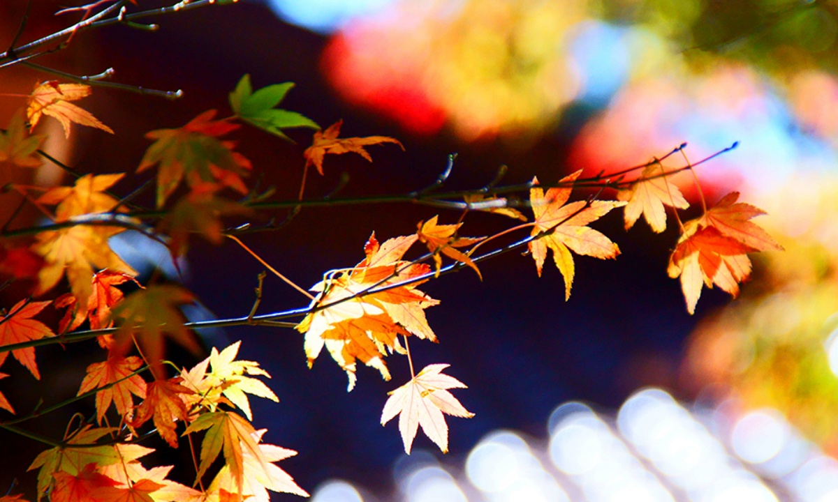Ημερήσιες Προβλέψεις για όλα τα Ζώδια 22/09