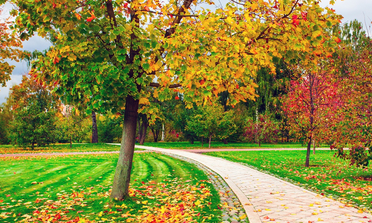 Ημερήσιες Προβλέψεις για όλα τα Ζώδια 23/09