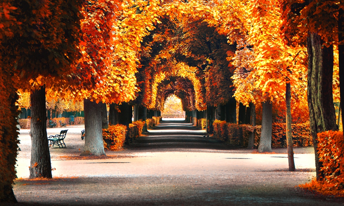 Ημερήσιες Προβλέψεις για όλα τα Ζώδια 25/09