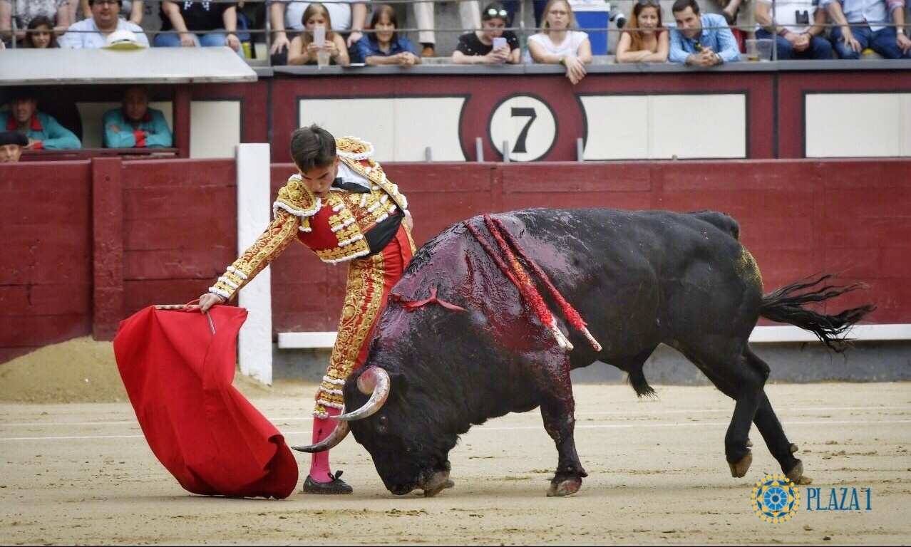 Σοκαριστικό βίντεο: Ταύρος καρφώνει με τα κέρατά του ταυρομάχο! (photos+video)