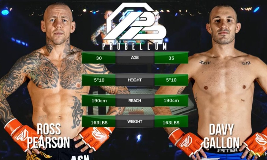 Το νοκ άουτ της χρονιάς στο MMA! (photos+video)