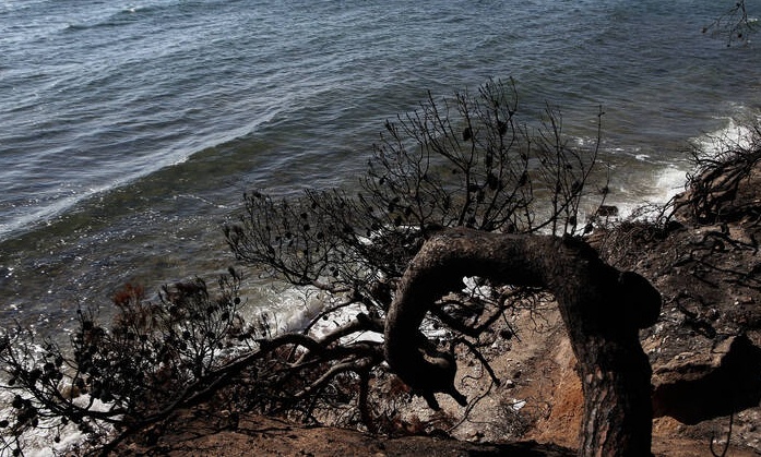 Απορρίφθηκε το αίτημα για τον ορισμό εφέτη ειδικού ανακριτή για τη φονική πυρκαγιά στο Μάτι