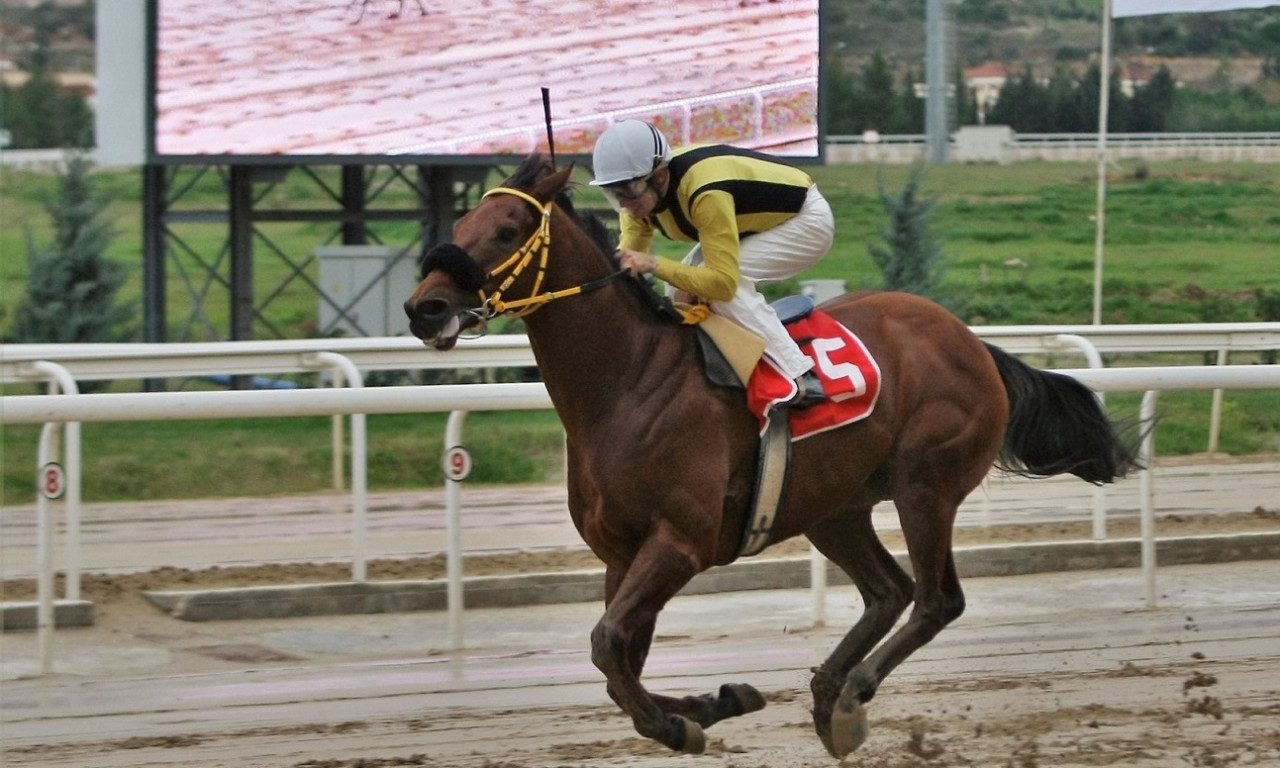 Markopoulo Park: Αυλαία στο 2019 με μεγάλα κέρδη στο ΣΚΟΡ 6