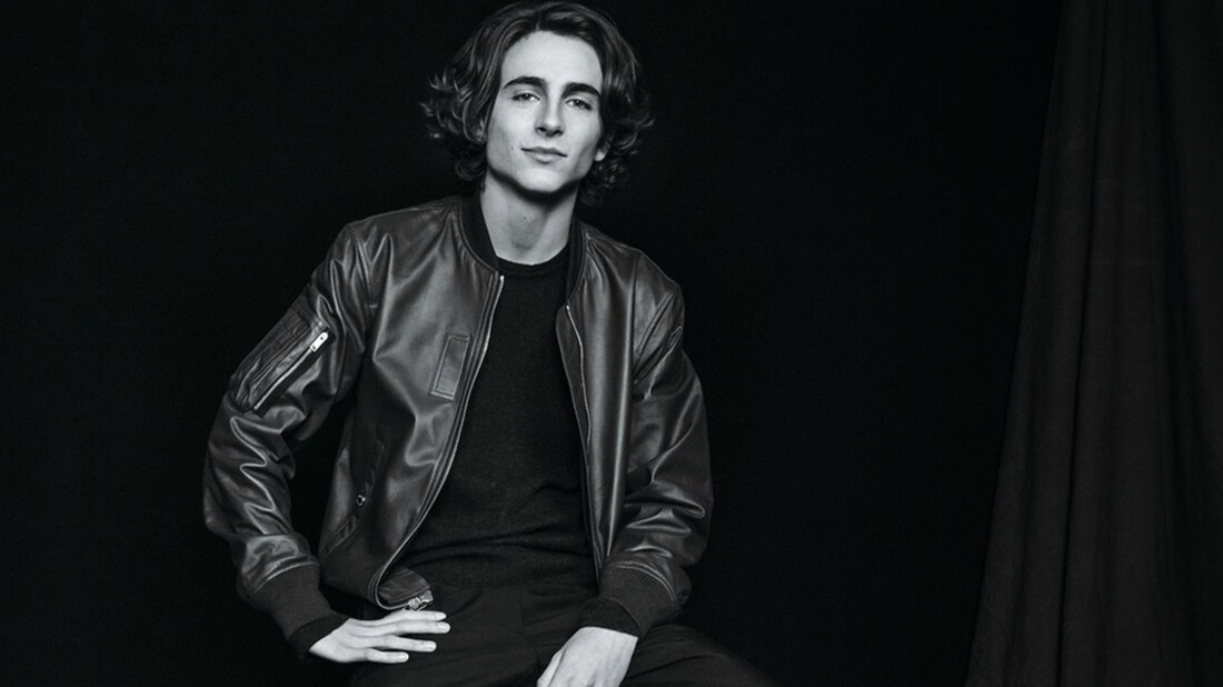 Timothée Chalamet: Η βασιλική εξέλιξη ενός νέου σταρ