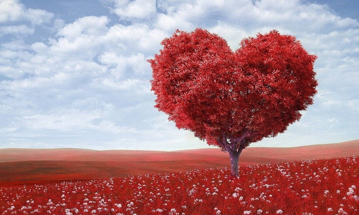 Το μεγαλύτερο site ερωτικών ταινιών κάνει ένα ξεχωριστό δώρο ενόψει του Αγίου Βαλεντίνου (photos)