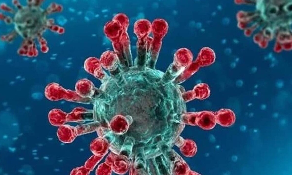 Κοροναϊός - ΕΦΕΤ: Μεγάλη προσοχή! Οσα πρέπει να ξέρουμε για τα τρόφιμα και τη μετάδοση ή μη του ιού