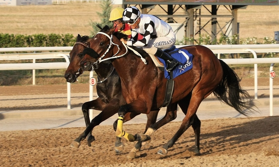Markopoulo Park: Επιστροφή των ελληνικών ιπποδρομιών με θέαμα και κέρδη