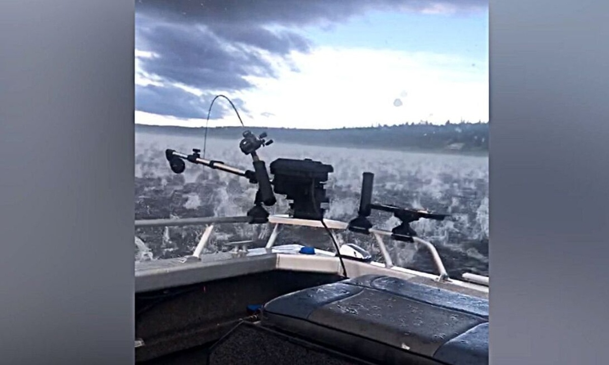 Ψάρευαν αμέριμνοι απ' το σκάφος τους, όταν ξαφνικά άρχισαν να φωνάζουν... (video)