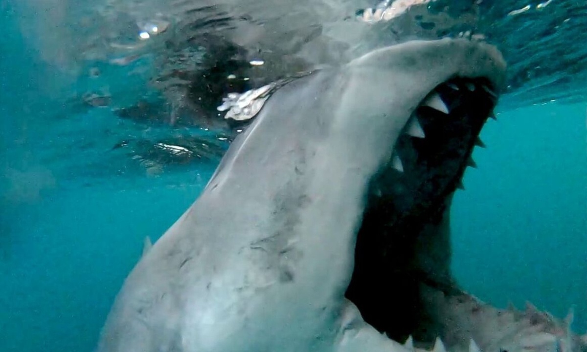 Δύο αδέρφια βγήκαν με σκάφος για ψάρεμα! Αυτό που έπαθαν θα το θυμούνται μια ζωή