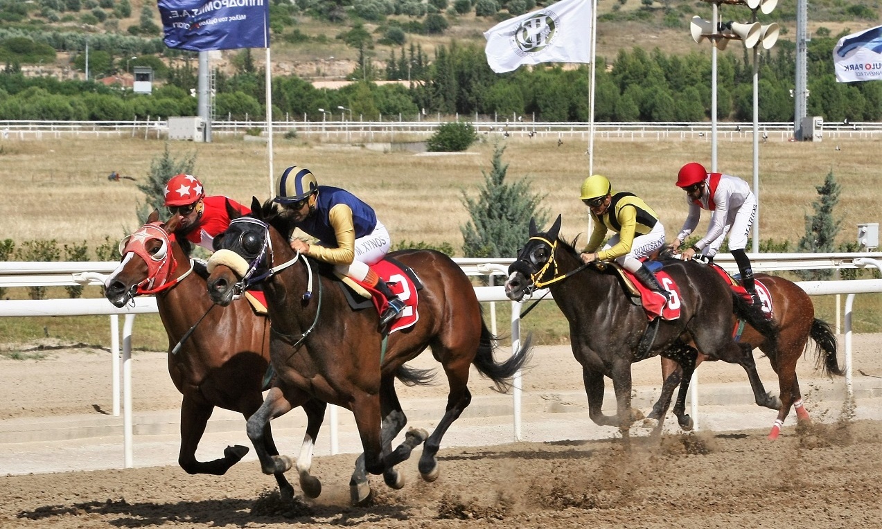 Markopoulo Park: Δέκα καθαρόαιμοι ίπποι διεκδικούν το Κύπελλο Ηνιόχου