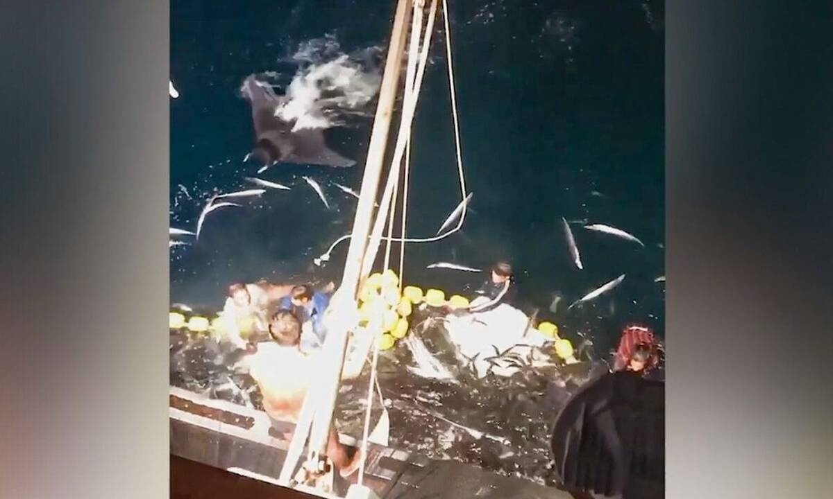 Ψαράδες σηκώνουν τα δίχτυα και παθαίνουν σοκ! Απίθανο αυτό που κάνουν... (video)