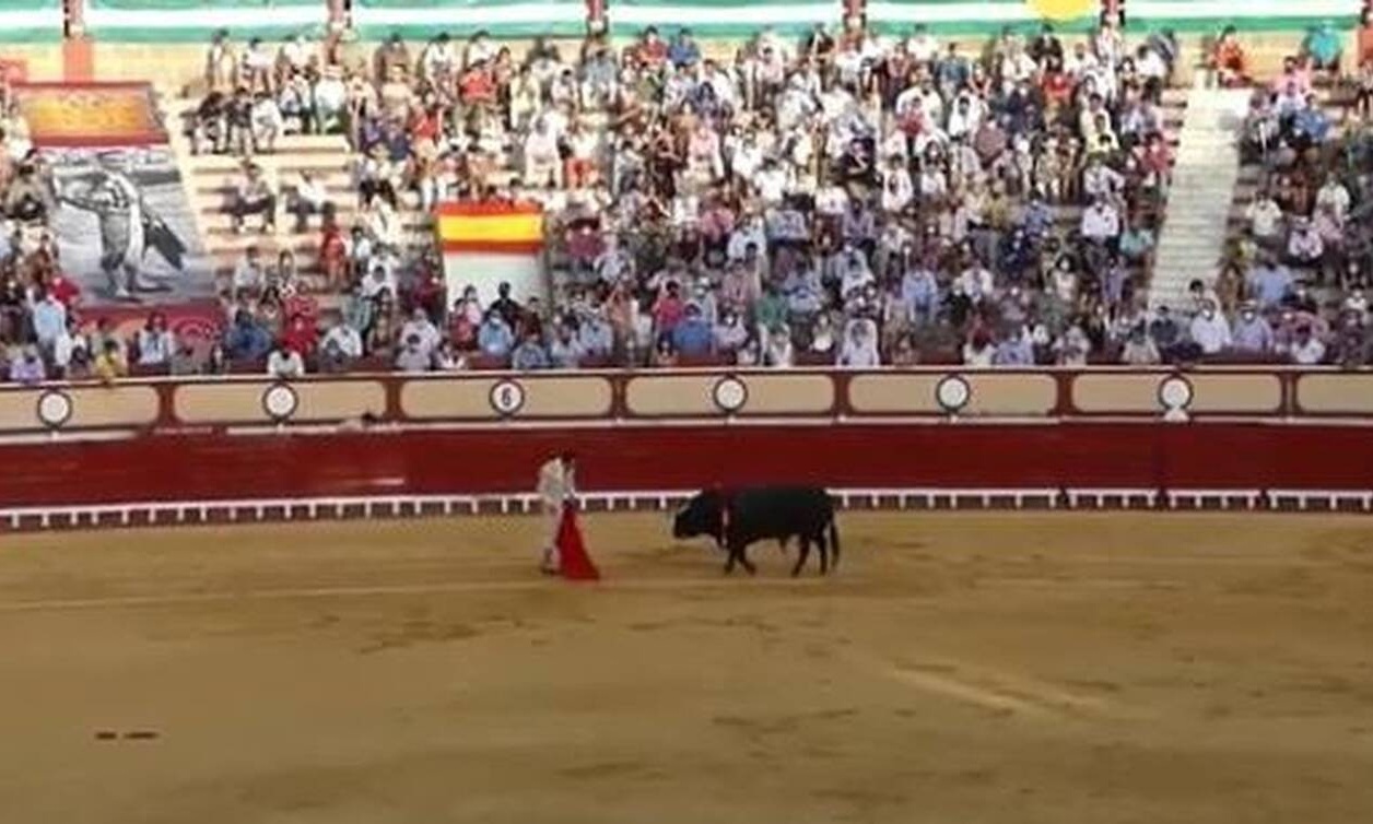 Η εκδίκηση του ταύρου: Κάρφωσε τον ταυρομάχο κατευθείαν στα… οπίσθια