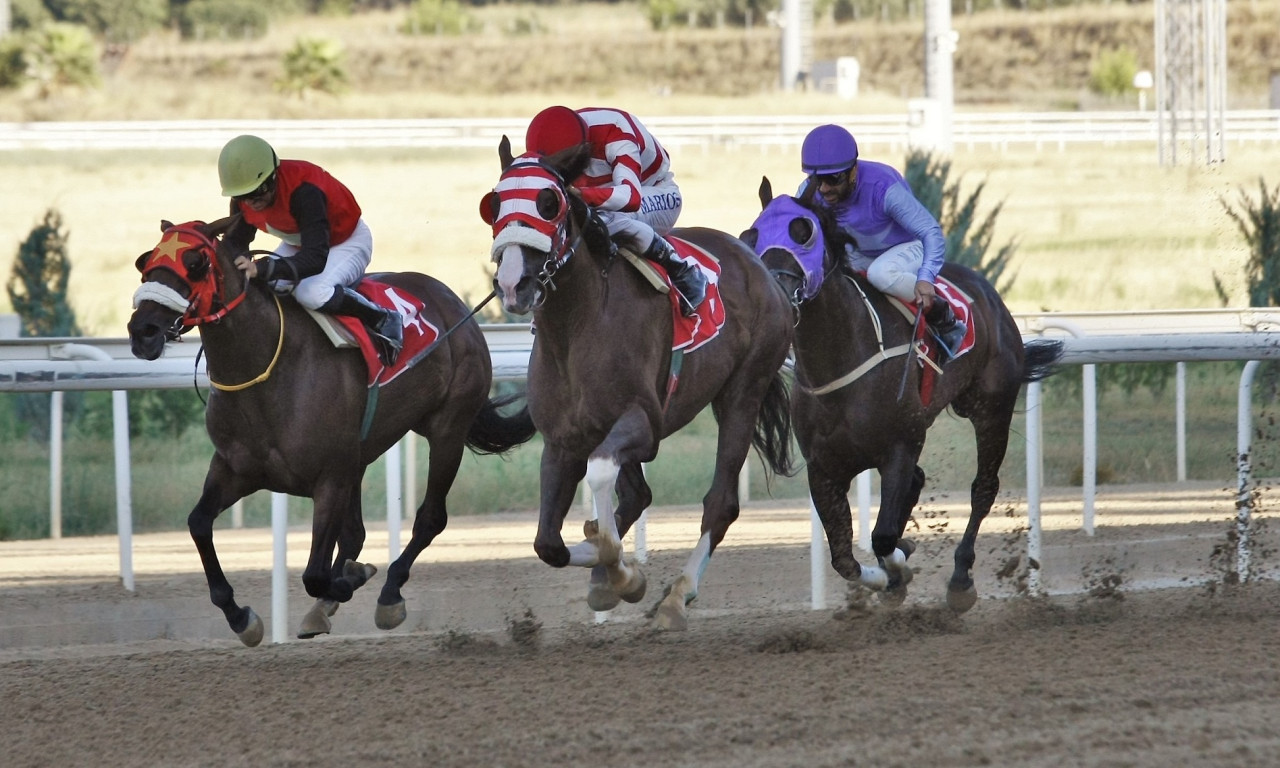 Markopoulo Park: Έντεκα καθαρόαιμοι ίπποι διεκδικούν το Κριτήριο Τριετών