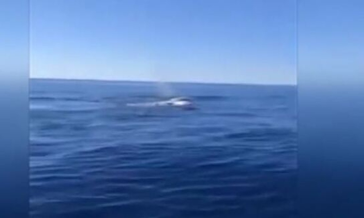 Κήτος εμφανίστηκε ανοικτά της ανατολικής Μάνης (video)
