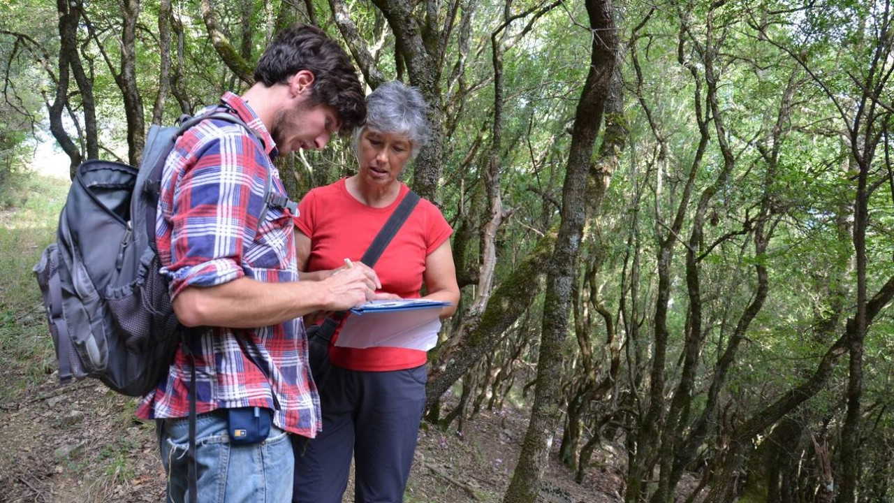 Έρευνα: Αυτά είναι τα έξι «ιερά» δάση της Ηπείρου