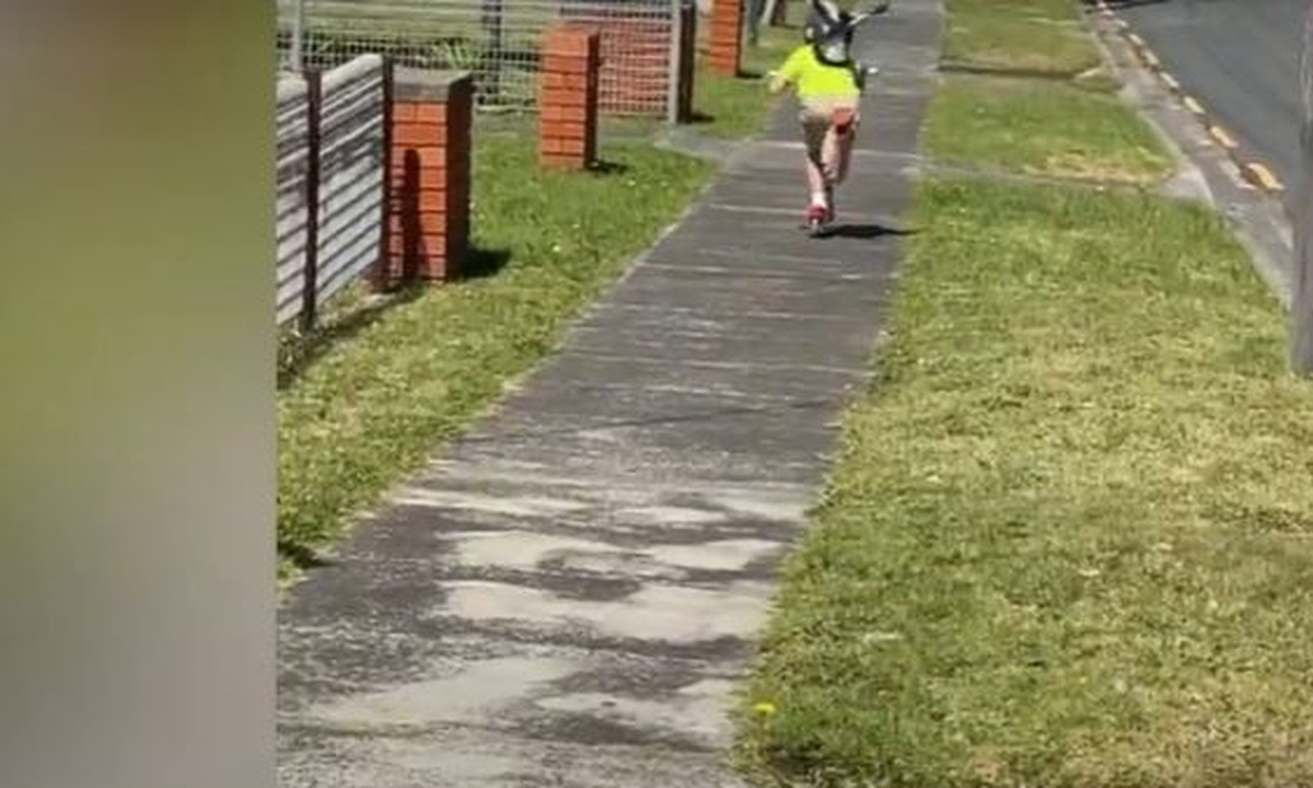 Απίστευτο: Καρακάξα κάνει επίθεση σε παιδάκι που κάνει ποδήλατο (video)