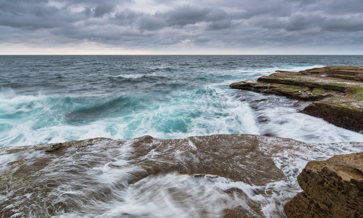 Ψαράς έπιασε σπάνιο δικέφαλο καρχαρία! (video)
