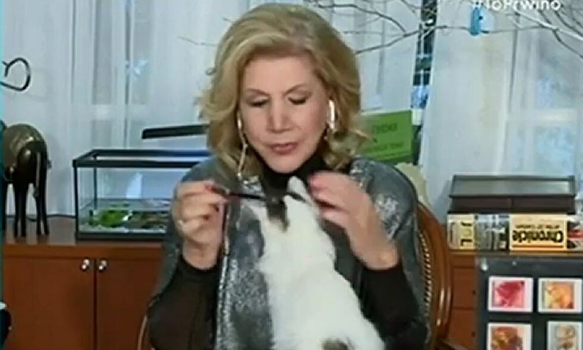 Χαμός στον «αέρα»: Γάτος επιτέθηκε στη Λίτσα Πατέρα!