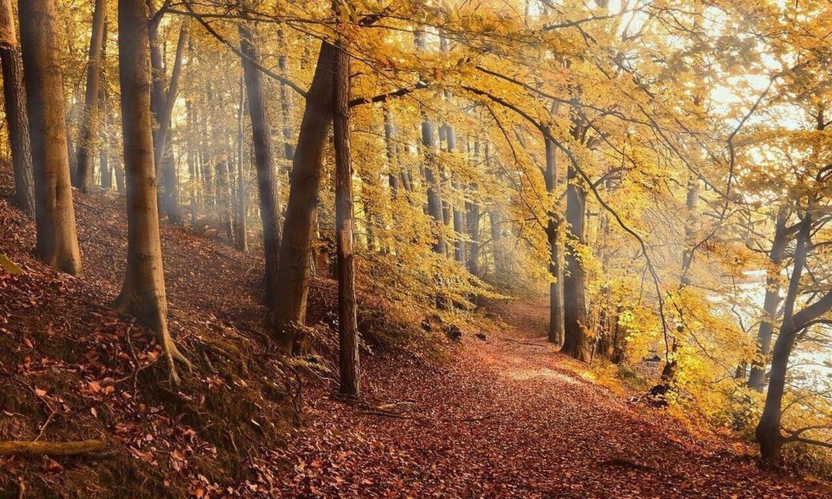 Αδιανόητο: Γονείς εγκατέλειψαν το 2χρονο κοριτσάκι τους στο δάσος - Νεκρό το παιδί