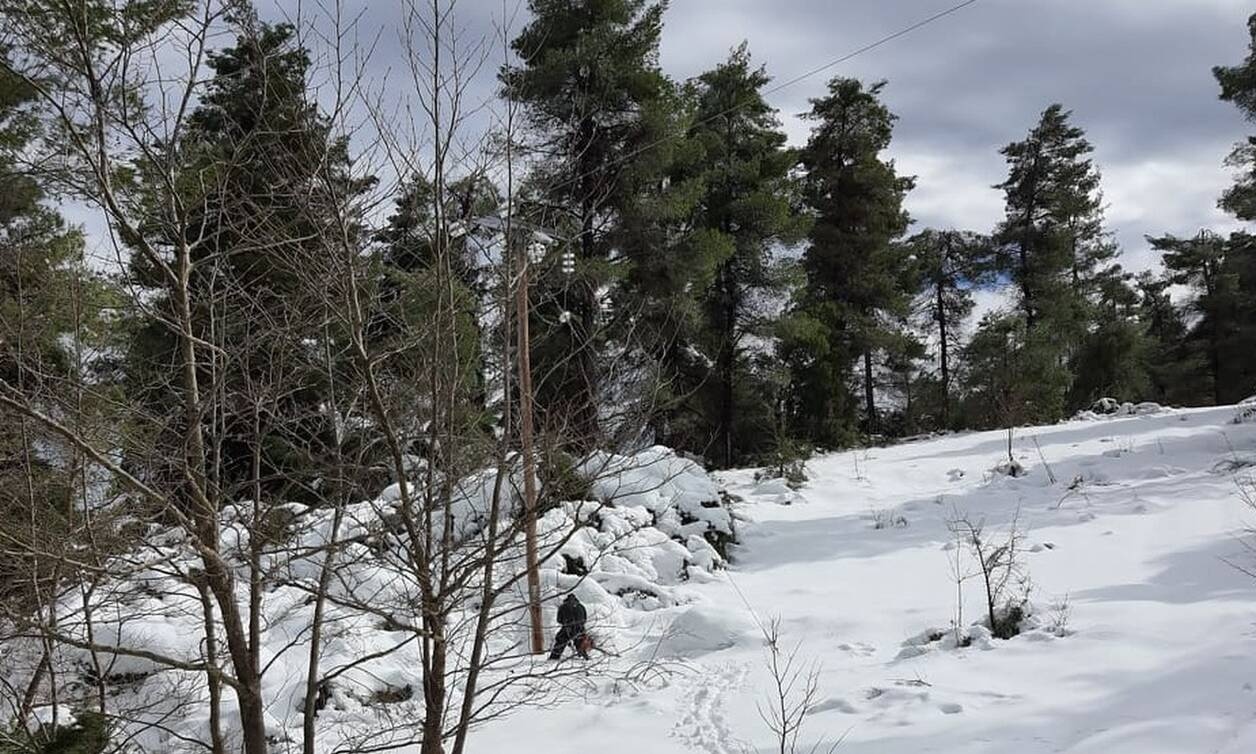 Σε κατάσταση έκτακτης ανάγκης ο Ωρωπός