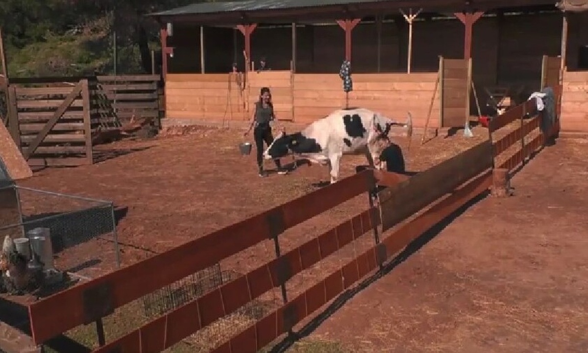 Η Φάρμα: Το εργατικό «ατύχημα» που προκάλεσε πολύ γέλιο και επικές ατάκες!