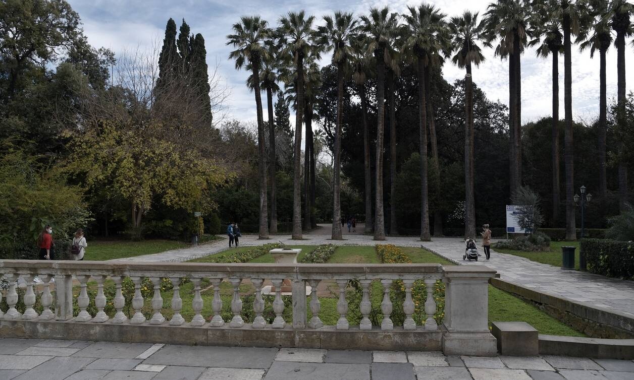 Τουρκάλα «συνέλαβε» 77χρονο που αυτοϊκανοποιούταν στον Εθνικό Κήπο