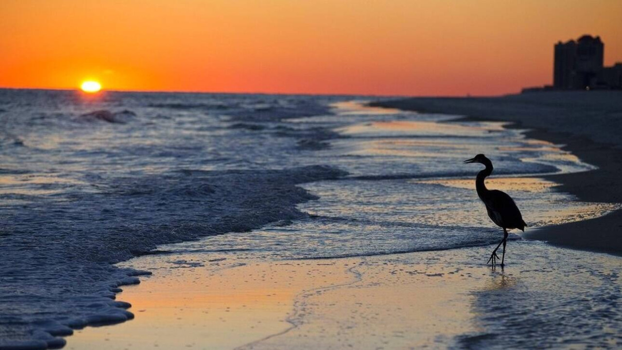 Τρία χρόνια, 4.820χλμ: Ένα μήνυμα σε μπουκάλι ταξίδεψε στον Ατλαντικό για να ενώσει δύο έφηβους