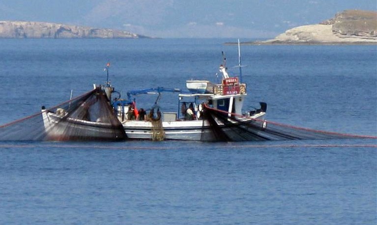 Έπιασαν «θηρίο» που ζυγίζει 85 κιλά - Δεν το πίστευαν οι ψαράδες