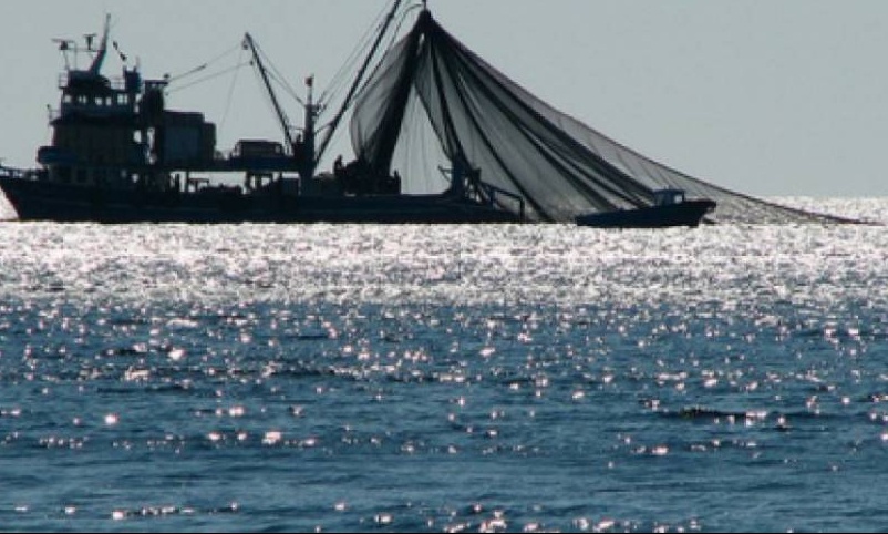 Τα είδε... όλα ο ψαράς - Δεν πίστευε αυτό που έπιασε (photos)