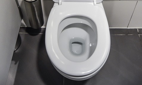 Τρόμος σε κάμπινγκ - Φίδι ξετρύπωσε από τη λεκάνη τουαλέτας (photos)