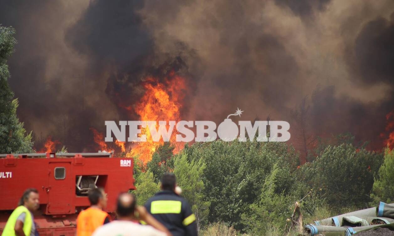 Φωτιά στην Αττική: Εκκενώνονται Πολυδένδρι, Καπανδρίτι, Μαλακάσα - Αναζωπύρωση στο Κρυονέρι