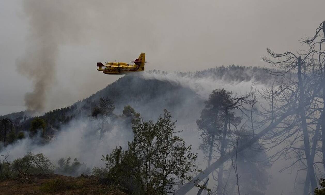 Φωτιά στην Ηλεία: Αναζωπυρώσεις σε τρεις περιοχές του Δήμου Αρχαίας Ολυμπίας