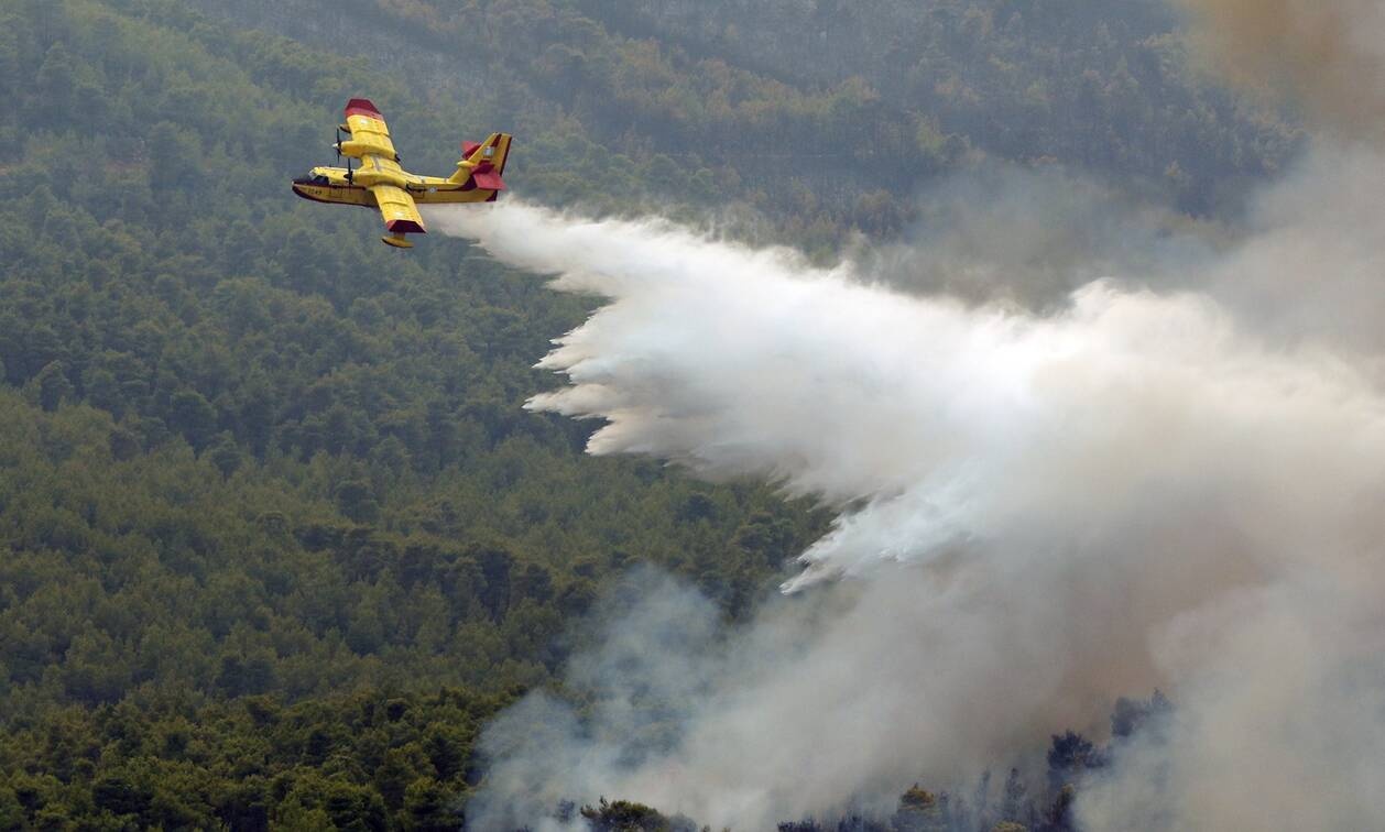 Συναγερμός στα Βίλια: Η φωτιά πλησιάζει απειλητικά τον οικισμό - «Κοντά στα πρώτα σπίτια η πυρκαγιά»