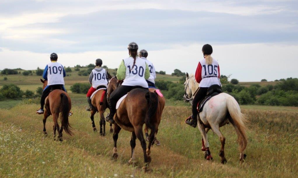 Mε πλήρη ομάδα η Ελλάδα στο Βαλκανικό Ιππικής Αντοχής!