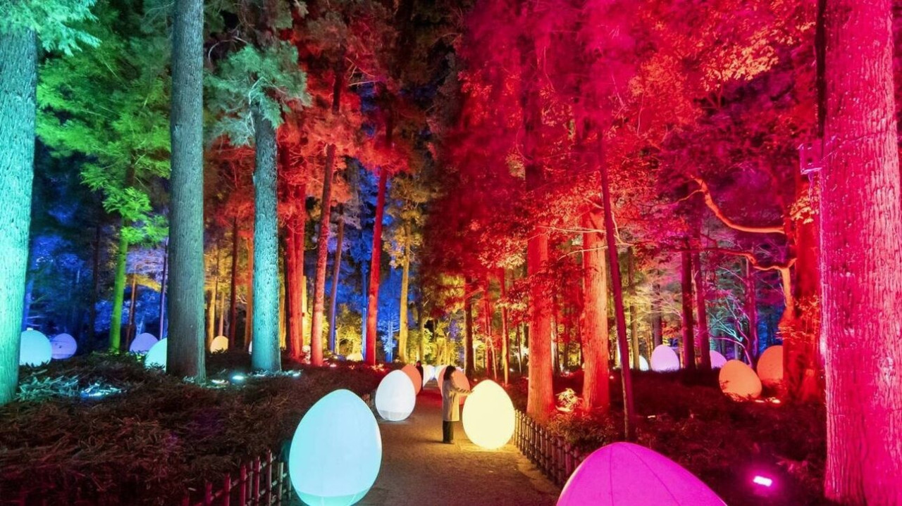 Οι «ηλεκτρικοί κήποι» της Ιαπωνίας: Η ψηφιακή τεχνολογία μετατρέπει τη φύση σε Τέχνη