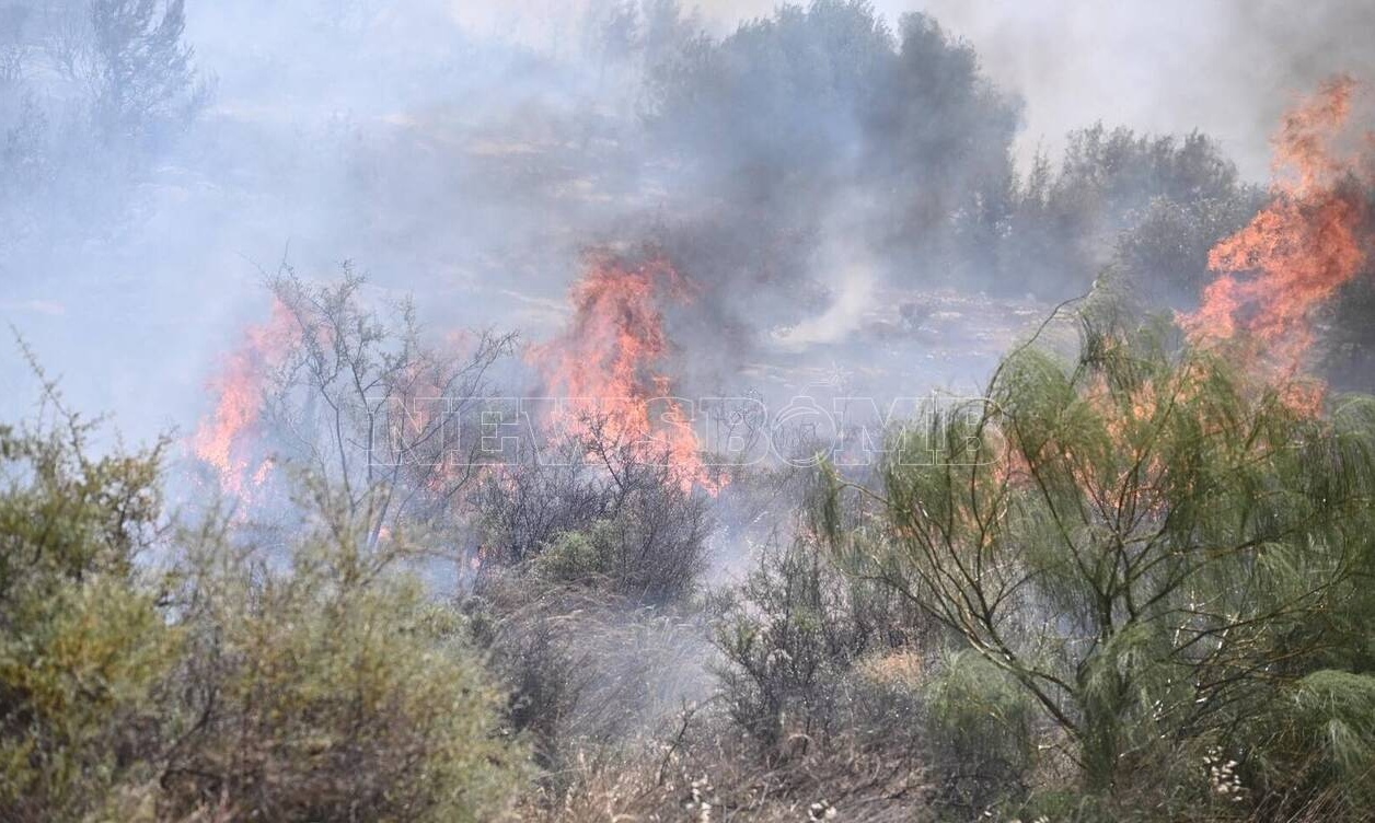 Πυρκαγιά στη Γλυφάδα - Οι πρώτες εικόνες και βίντεο