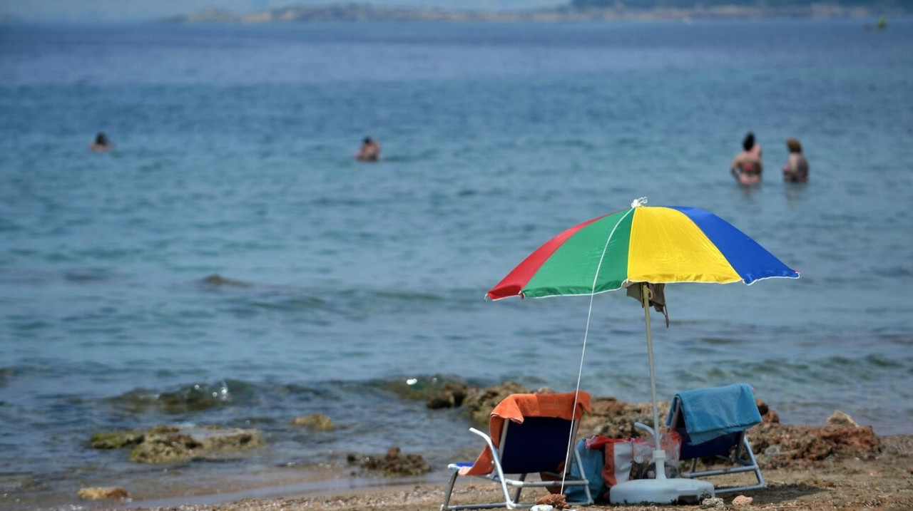 Μωβ μέδουσες: Χάρτης με τις επικίνδυνες περιοχές - Σε ποιες παραλίες χρειάζεται προσοχή στην Αττική