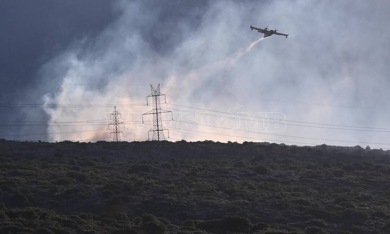Φωτιά: Σε δύο μέτωπα η μάχη στη Φωκίδα - Μεγάλες οι καταστροφές - Το Newsbomb.gr στην Ιτέα