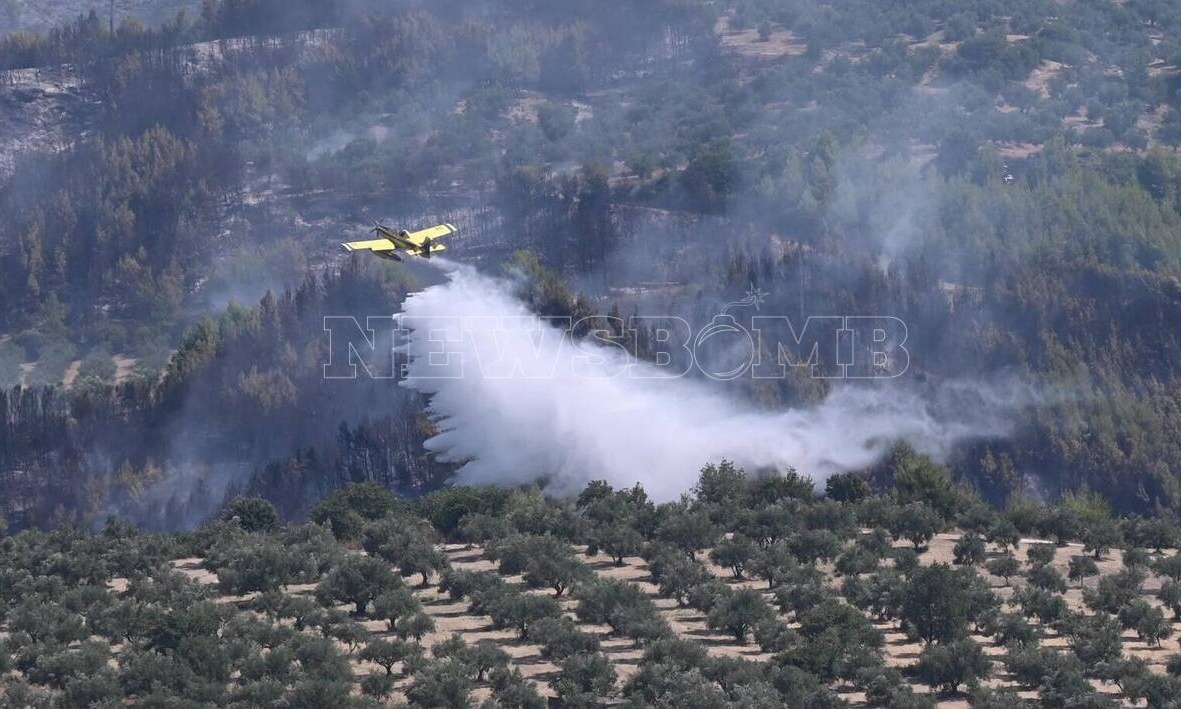 Live Blog: Καλύτερη εικόνα στα μέτωπα Ηλείας, Έβρου, Μυτιλήνης - Νέες πυρκαγιές σε Αττική και Κρήτη