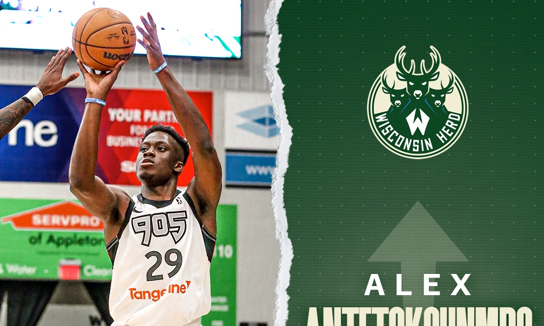 Αντετοκούνμπο: Στη θυγατρική των Μπακς ο Άλεξ